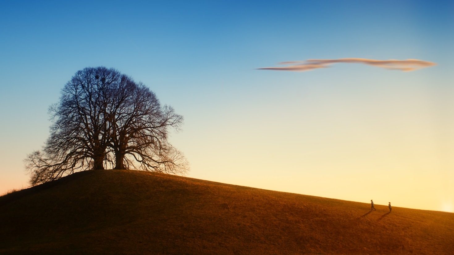 5 Simple Steps to Plan Your Dream Getaway